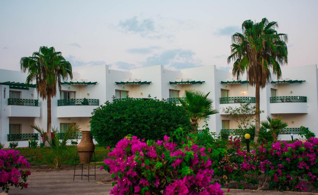 Resort Coral Montazah (adults Only)