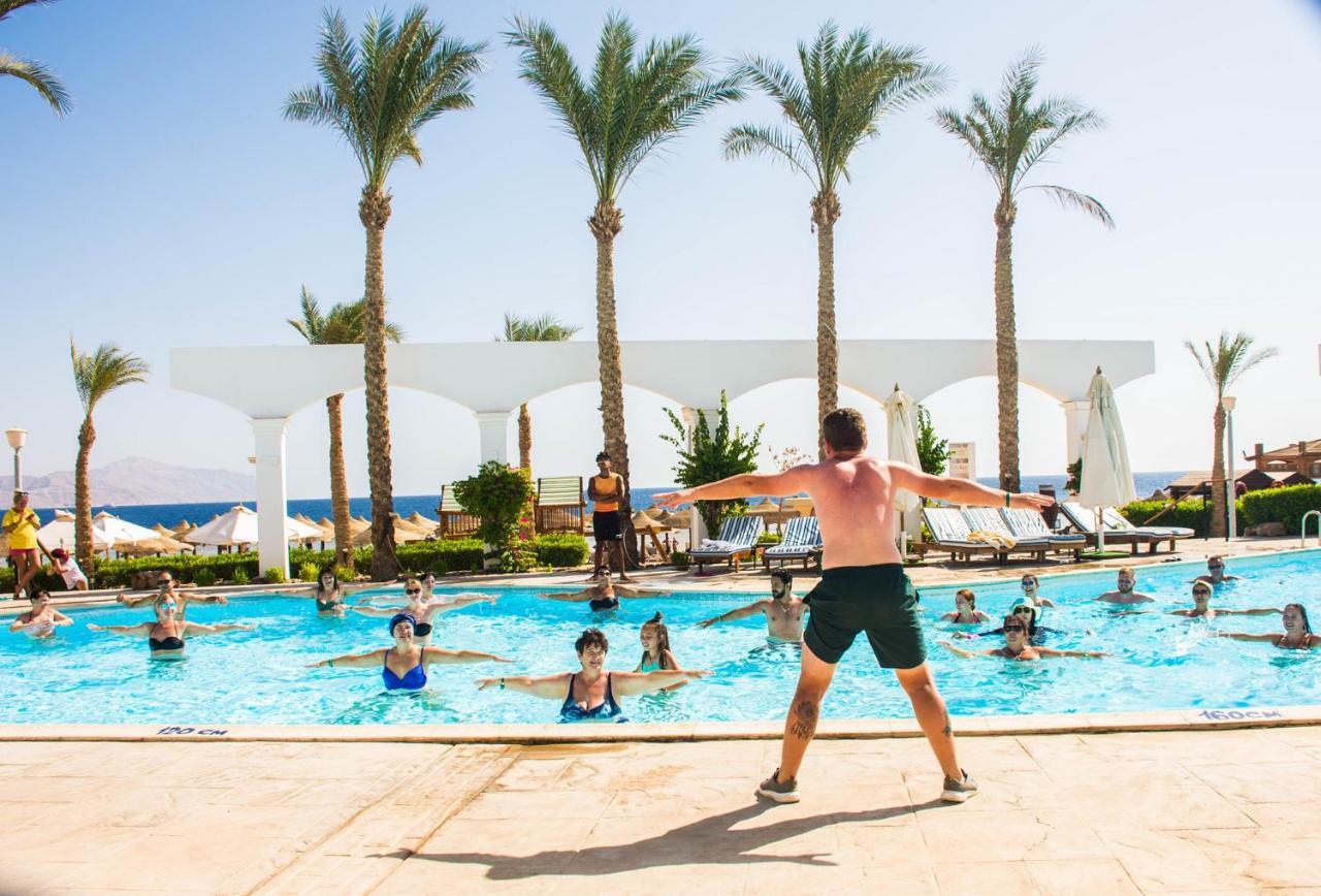 Coral Montazah (adults Only) 4* Sharm El-Sheikh